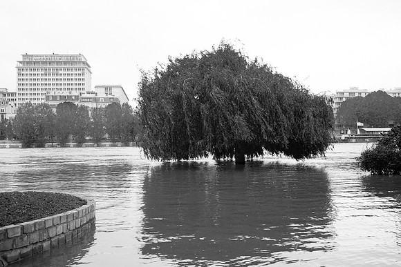 Bords de Seine, Paris 4&5 juin 2016