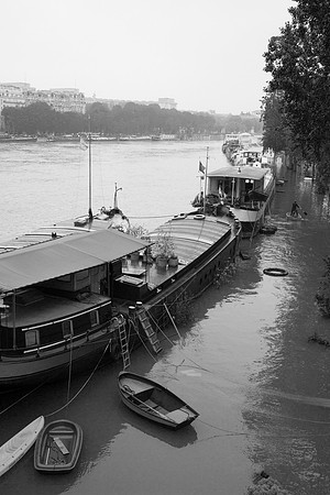Bords de Seine, Paris 4&5 juin 2016