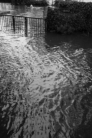 Bords de Seine, Paris 4&5 juin 2016