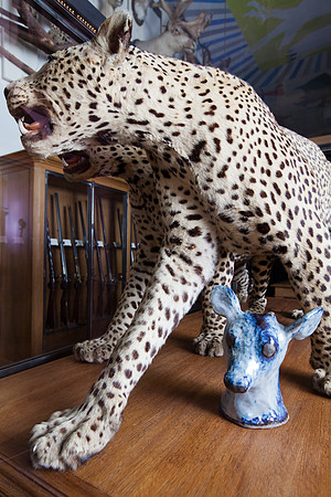Françoise Petrovitch- Musée de la chasse